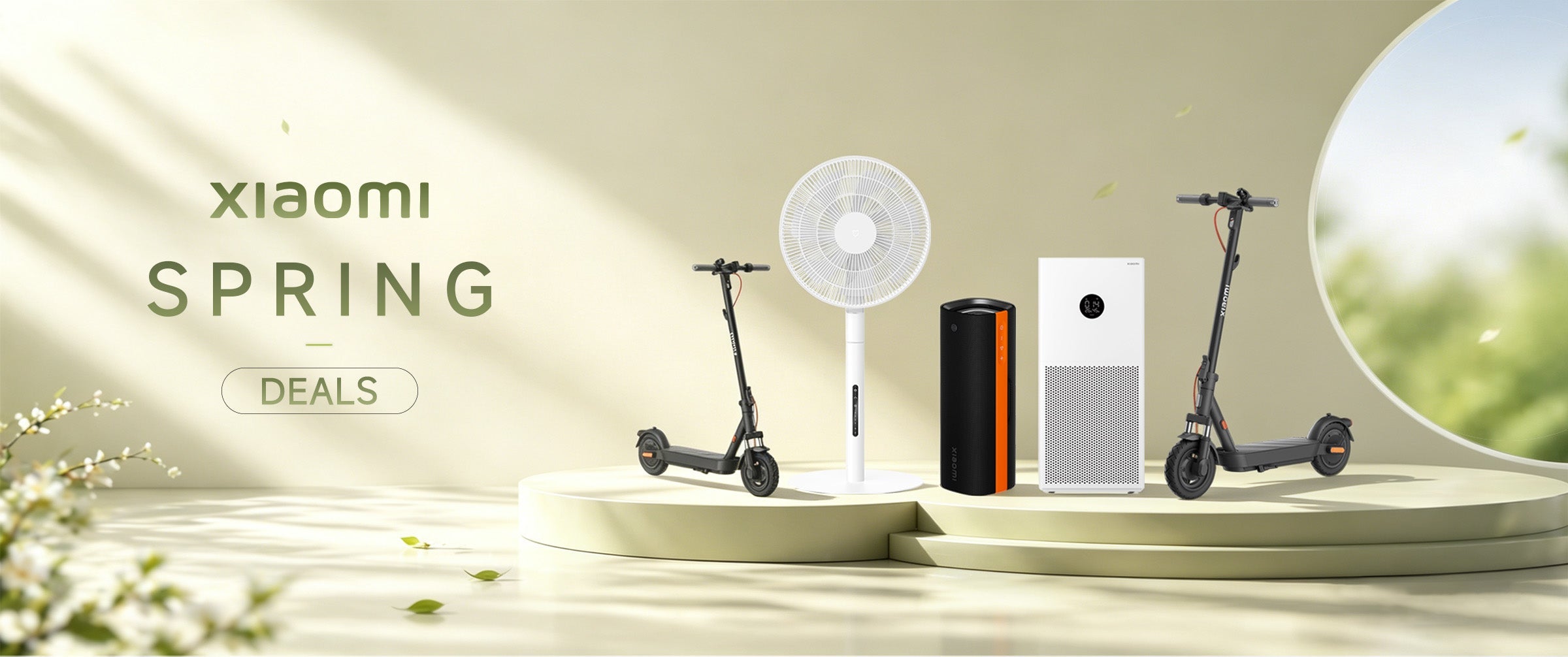 Mistore Spring Deal