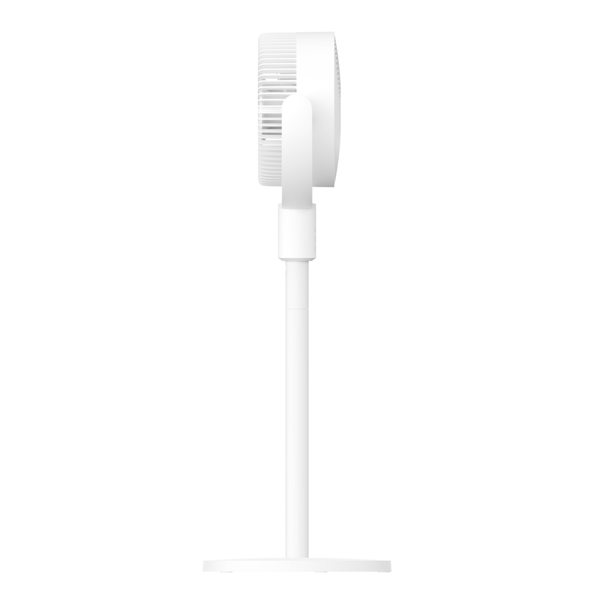 SCJX|62441-A|3_9ae9aacc-ed2a-4f93-8ff2-30f4925cae67.png