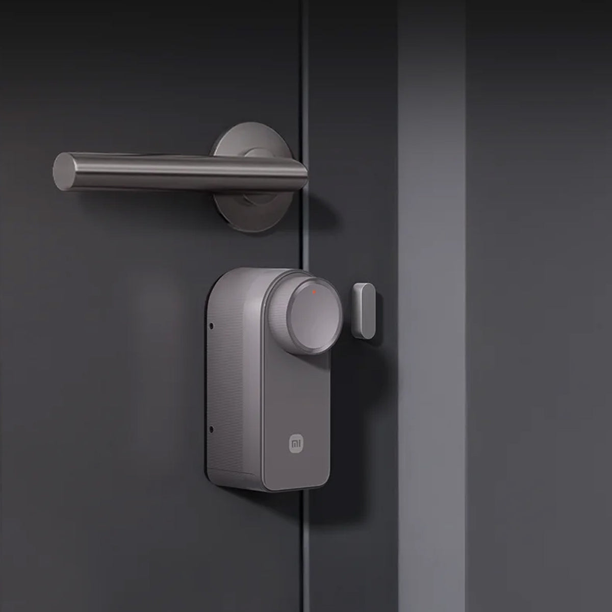 Xiaomi Self-Install Smart Lock EU