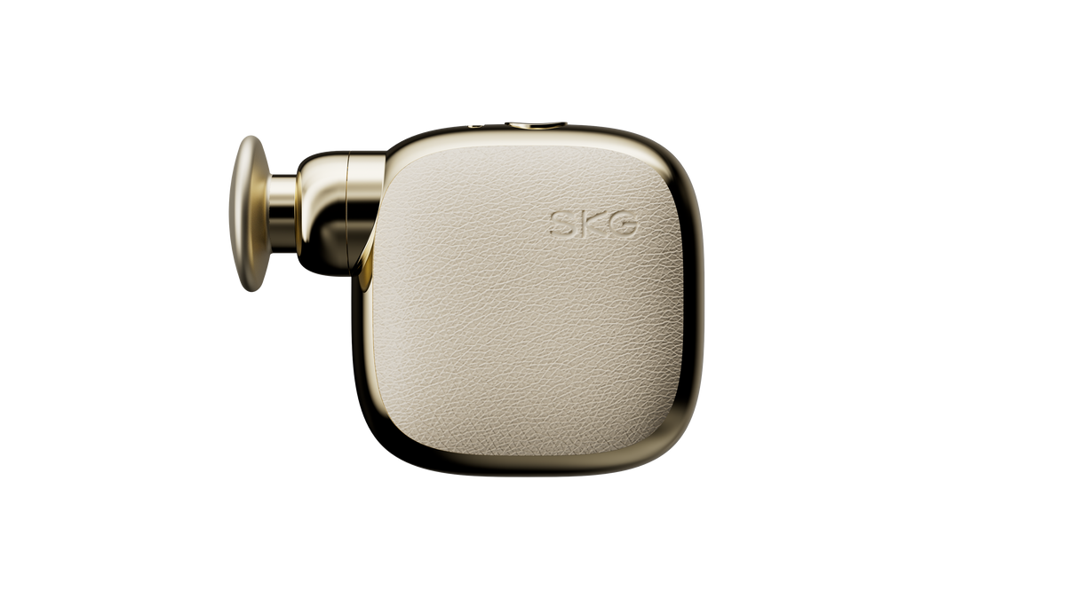 SKG Body Massager FS300 Pocket