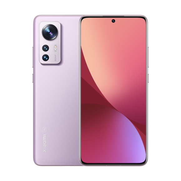 SCJX|D55222-B|l3-purple-2-1600px_1.png