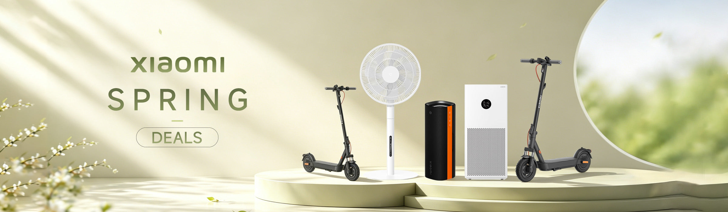 Mistore Spring Deals