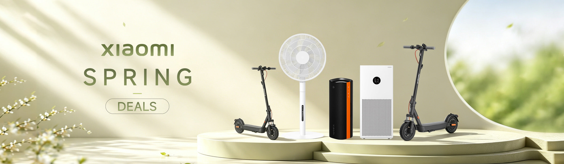 Mistore Spring Deal