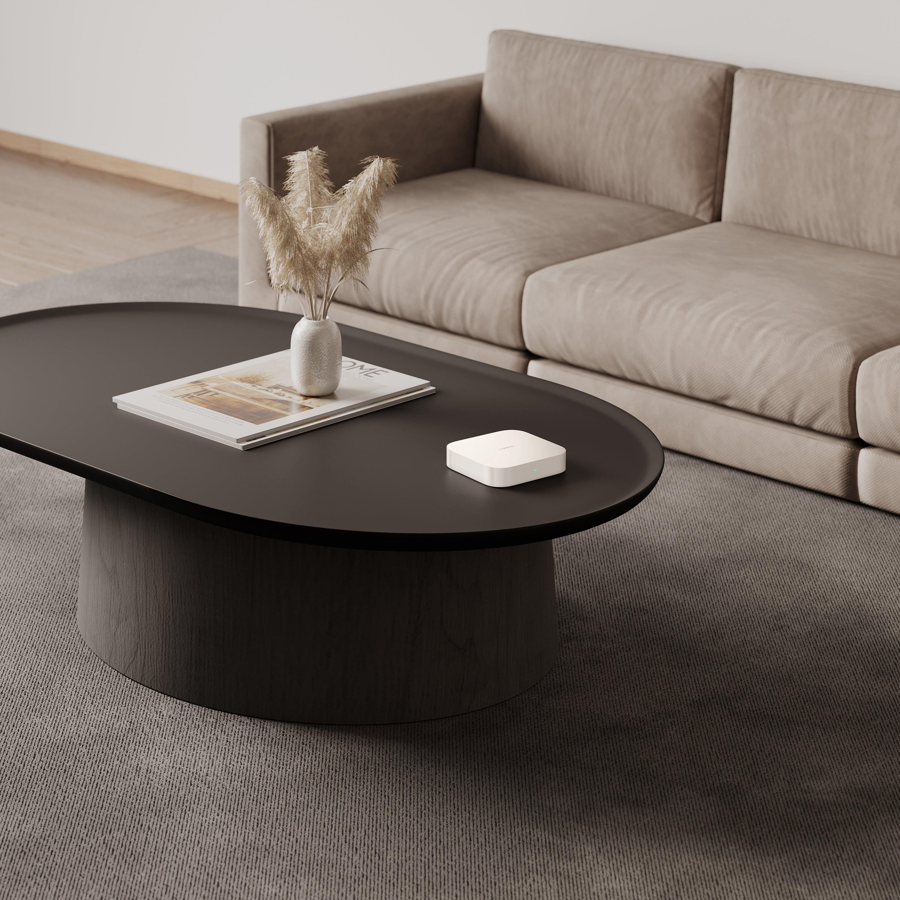 Xiaomi Smart Home Hub 2- Class C