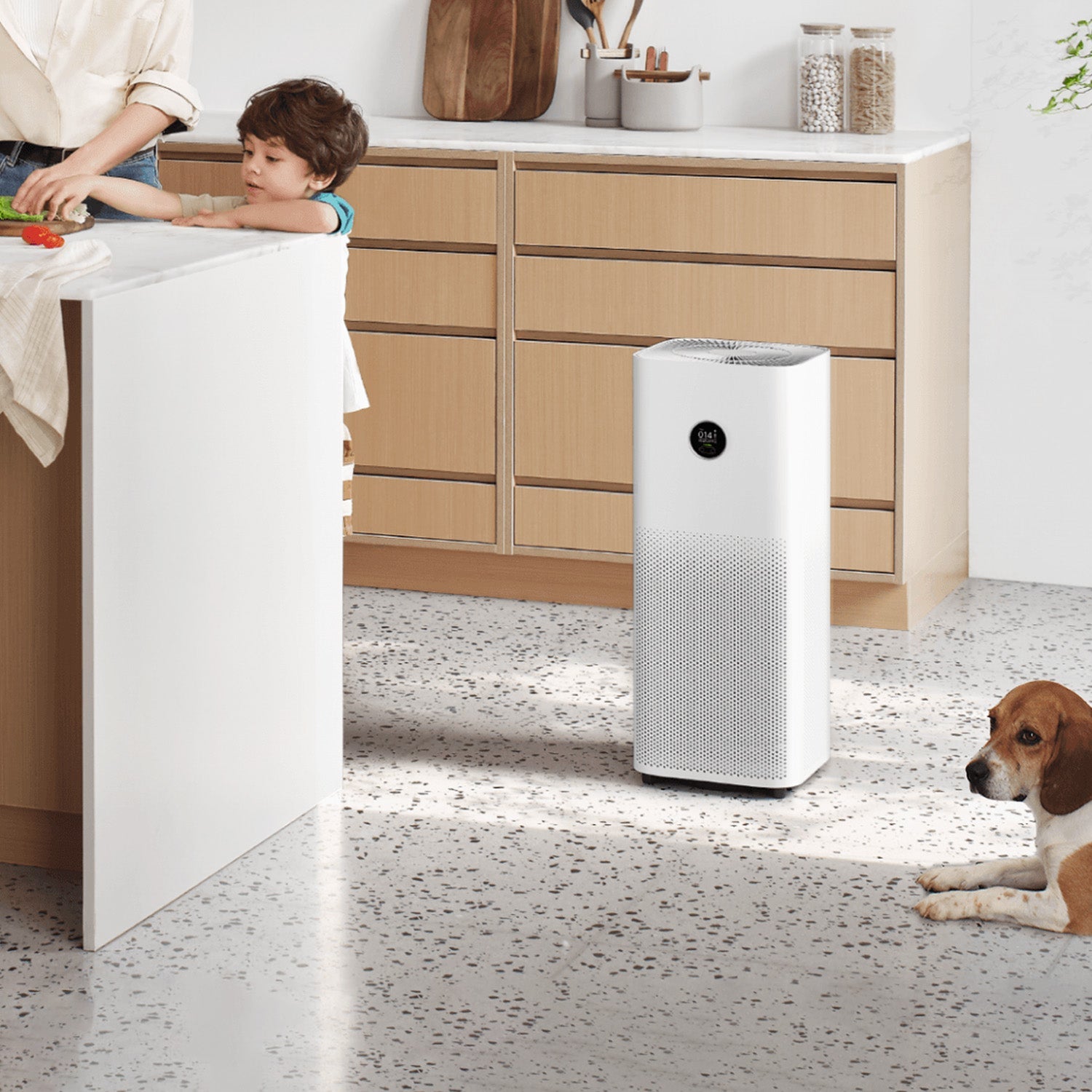 SCJX|33664-C|33664-xiaomi_smart_air_purifier_4_pro_9.jpg