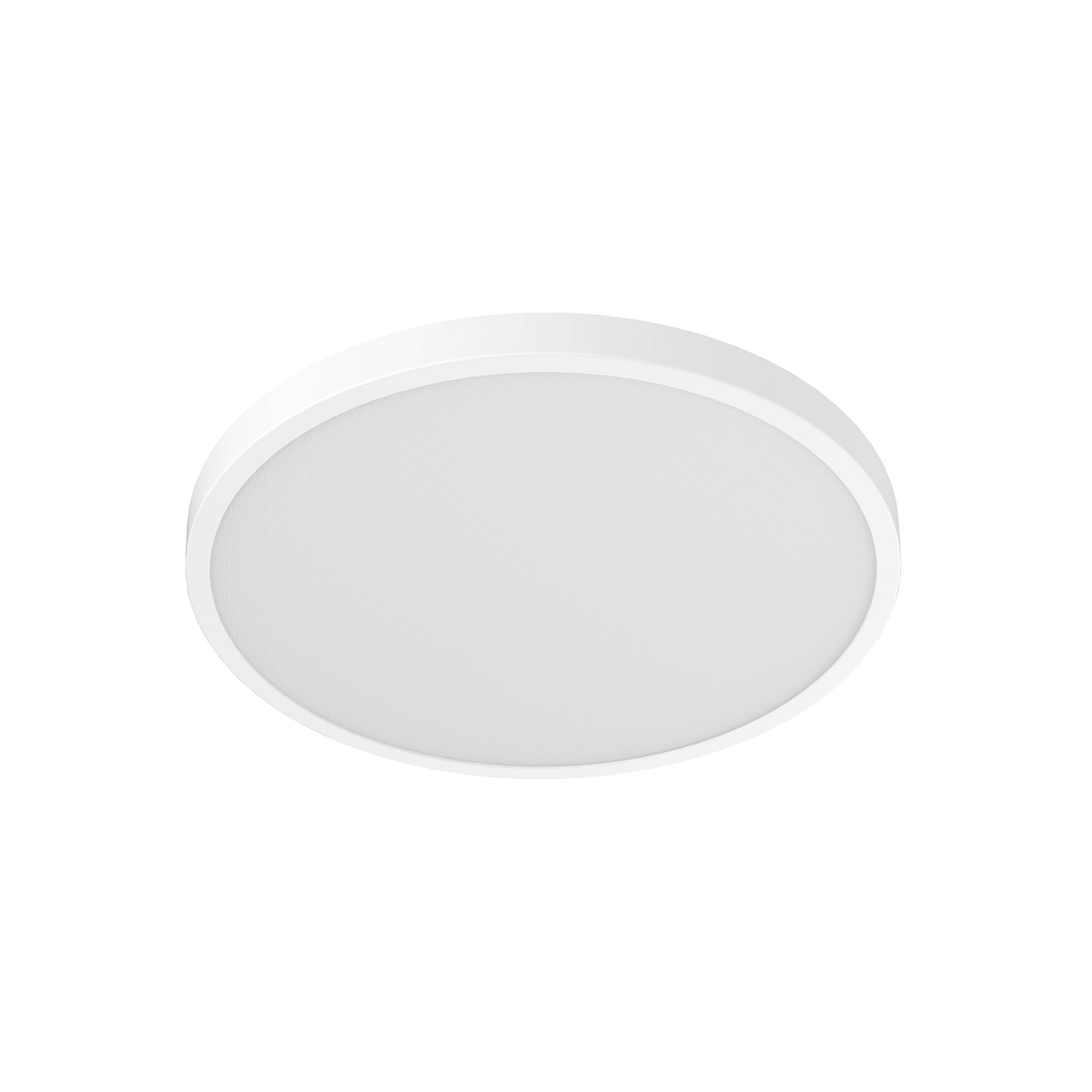 SCJX|62934-B|4_10981b0e-8dd4-4434-aec0-8769556bc0bd.png