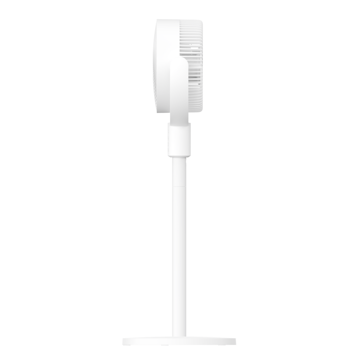 SCJX|62441-A|4_1371eb81-420c-46e7-9aaf-404c1a2f2488.png