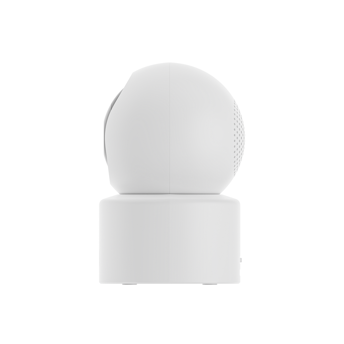 SCJX|71380-C|4_a148a1a9-99e0-4c86-be69-a17111faf590.png