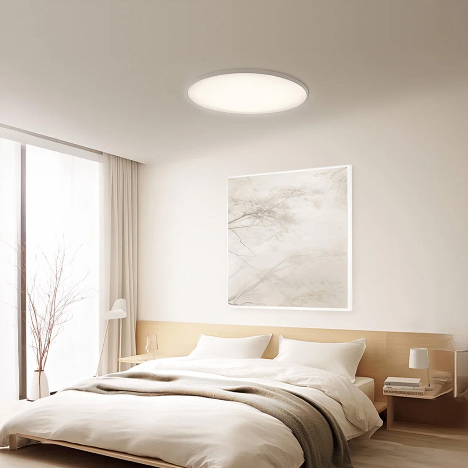 Xiaomi Smart Ceiling Light D30