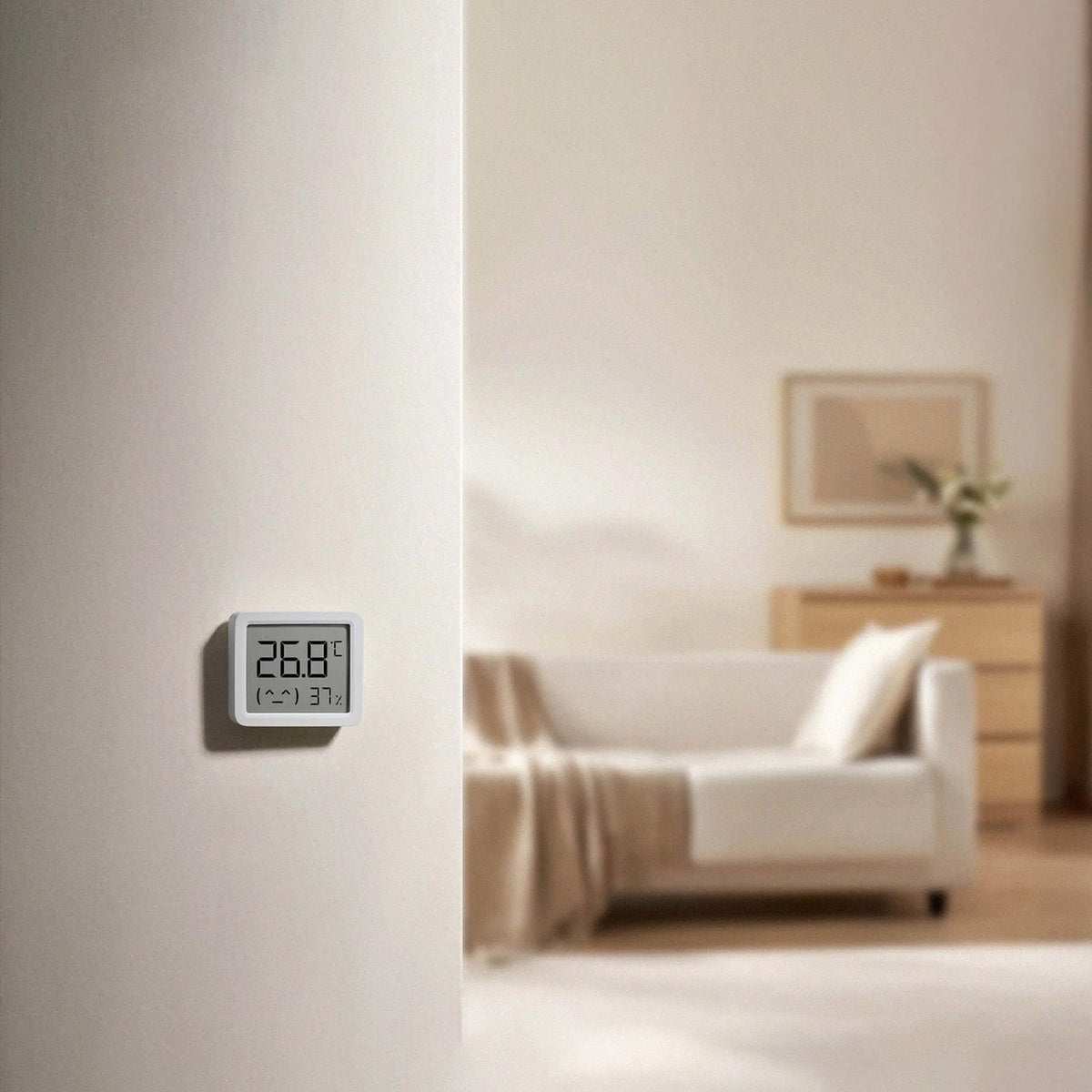 SCJX|63668-C|63668-xiaomi_smart_temperature_and_humidity_monitor_3_mini_-2.jpg