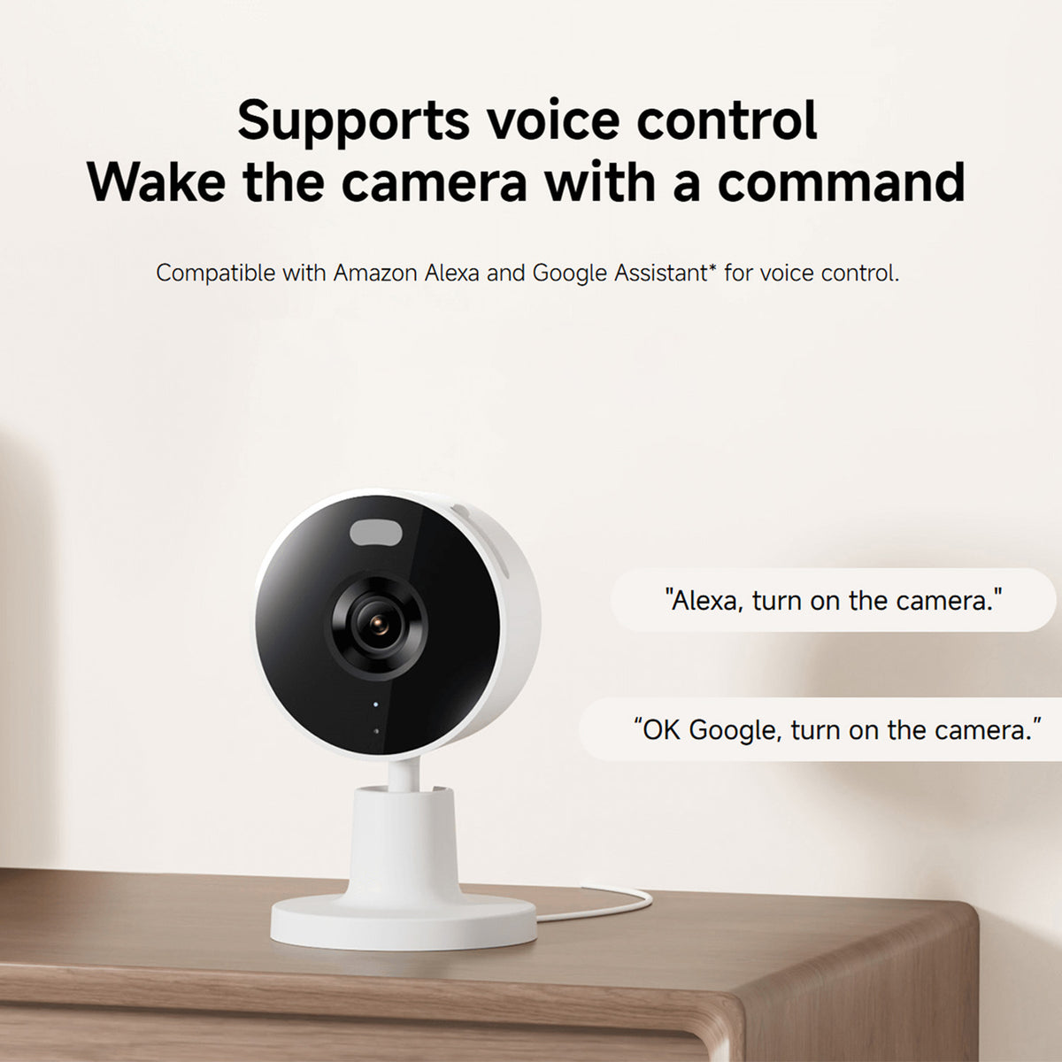 Xiaomi Smart Camera C100