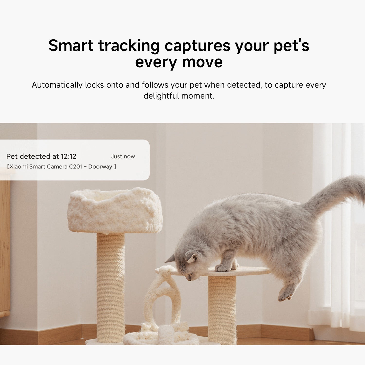 Xiaomi Smart Camera C201 - Class C