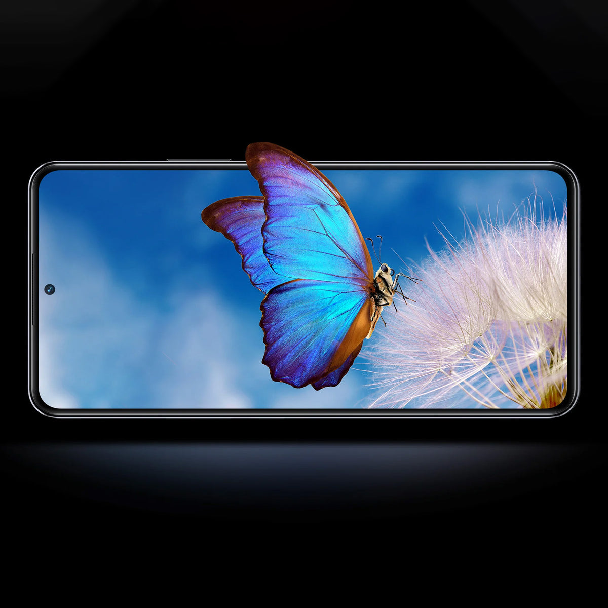 Xiaomi 12T 8GB RAM 256GB ROM Black- Demo