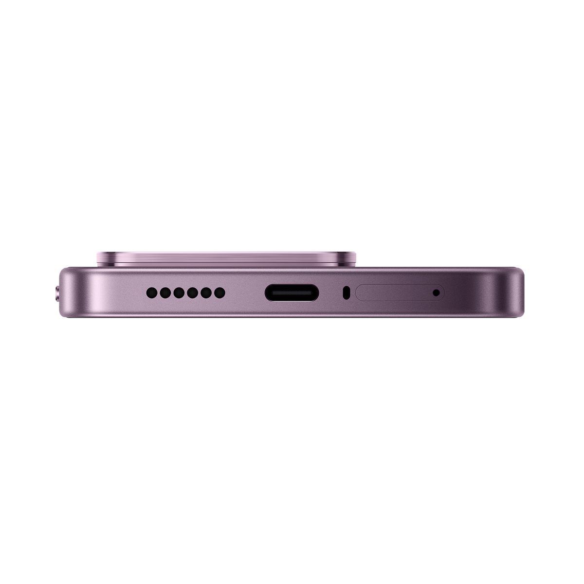 SCJX|D76772|p12a_violet_bottom_r2.png