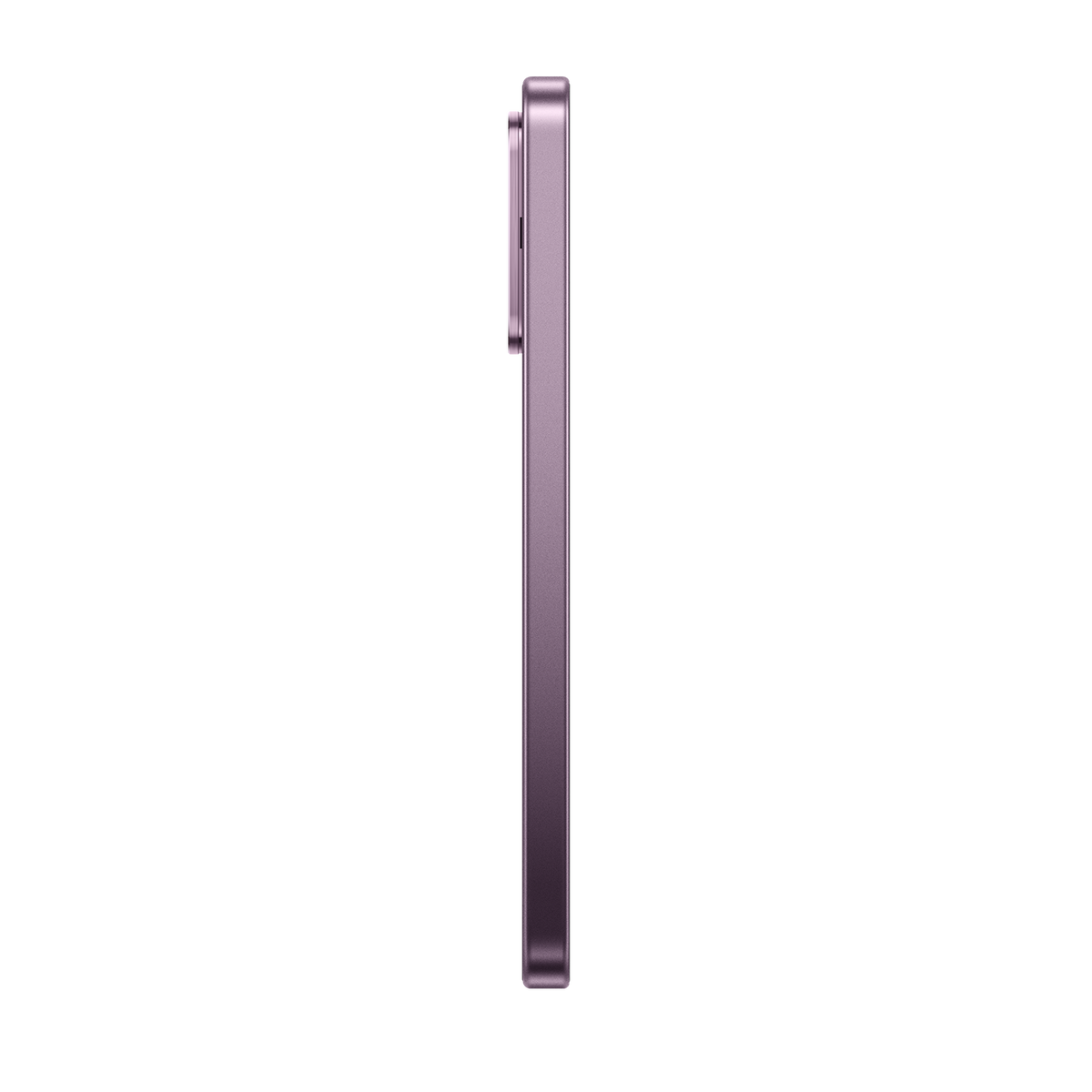 SCJX|D76772|p12a_violet_left_r2.png