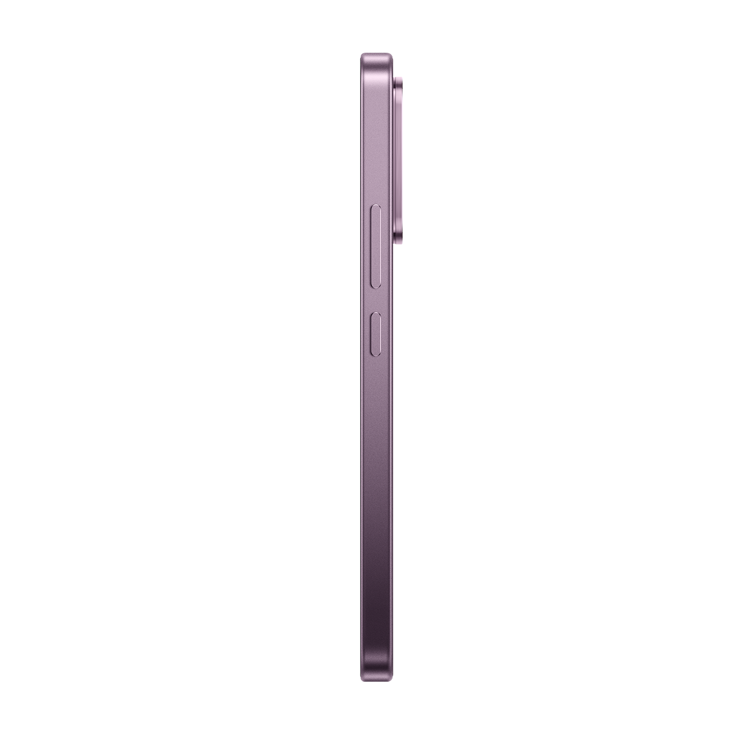 SCJX|D76772|p12a_violet_right_r4.png